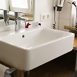 Fuchsbraeu